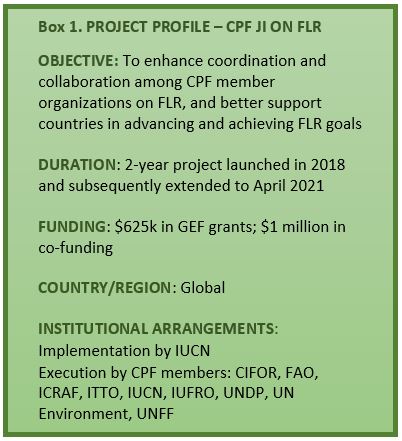 Box 1: Summary information on the supporting GEF Project