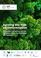 Turning the tide on deforestation