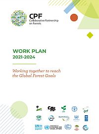 CPF work plan 2021-2024