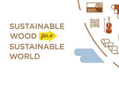 Sustainable Wood