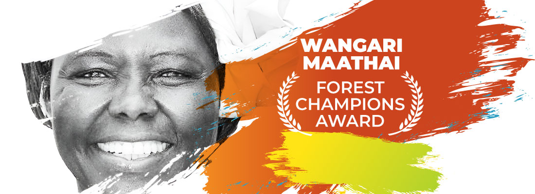 Wangari Maathai Forest Champion