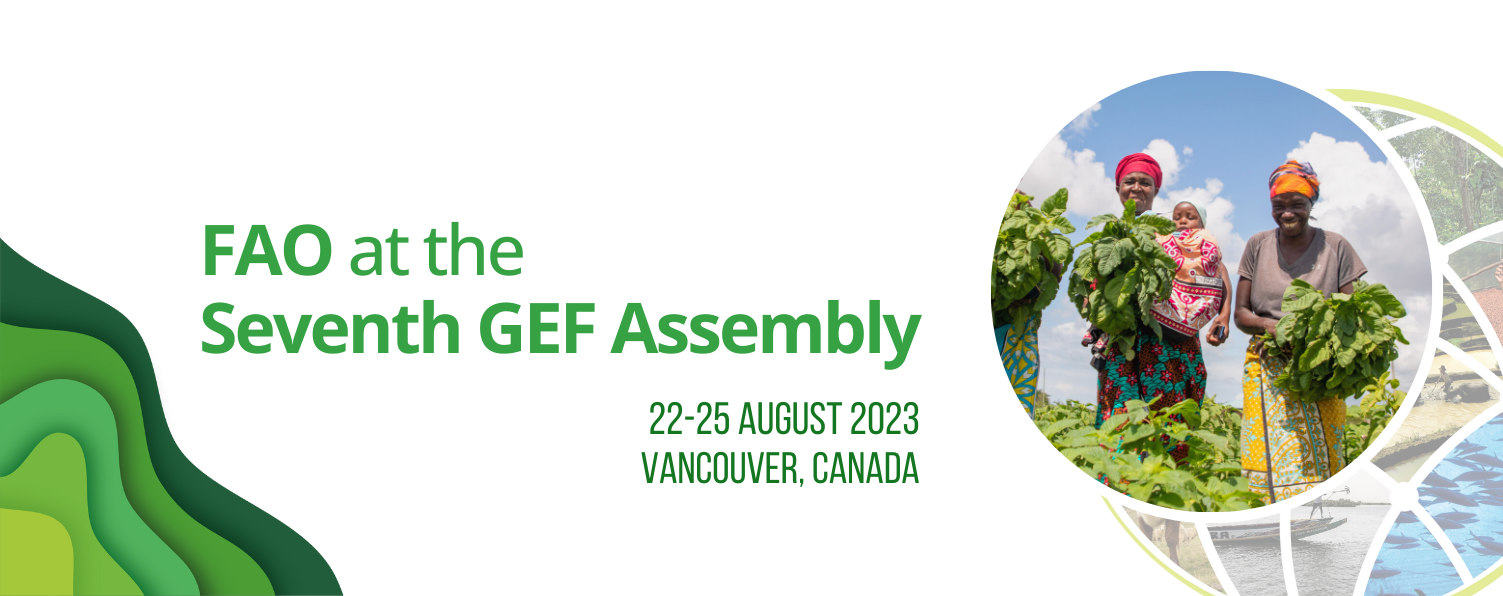 GEF Assembly cover