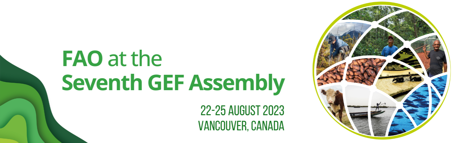 GEF Assembly cover