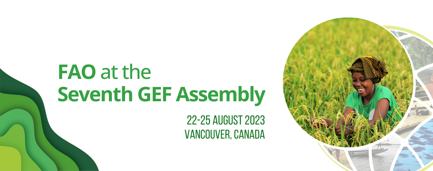 GEF Assembly Webpage Banner - FSIP Country Briefing