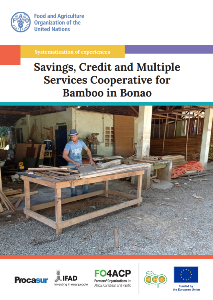 Savings, Credit and Multiple Services Cooperative for Bamboo in Bonao