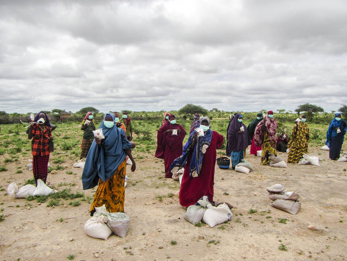 Farmers in Somalia queue at a registration point to receive assistance during the cropping season.