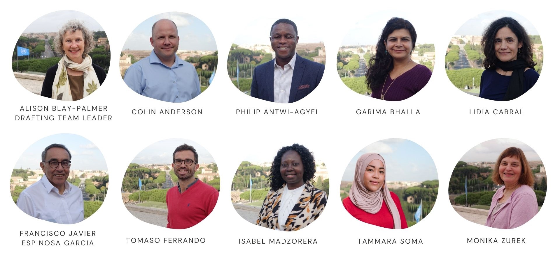 HLPE-FSN 20 drafting team on building resilience food systems