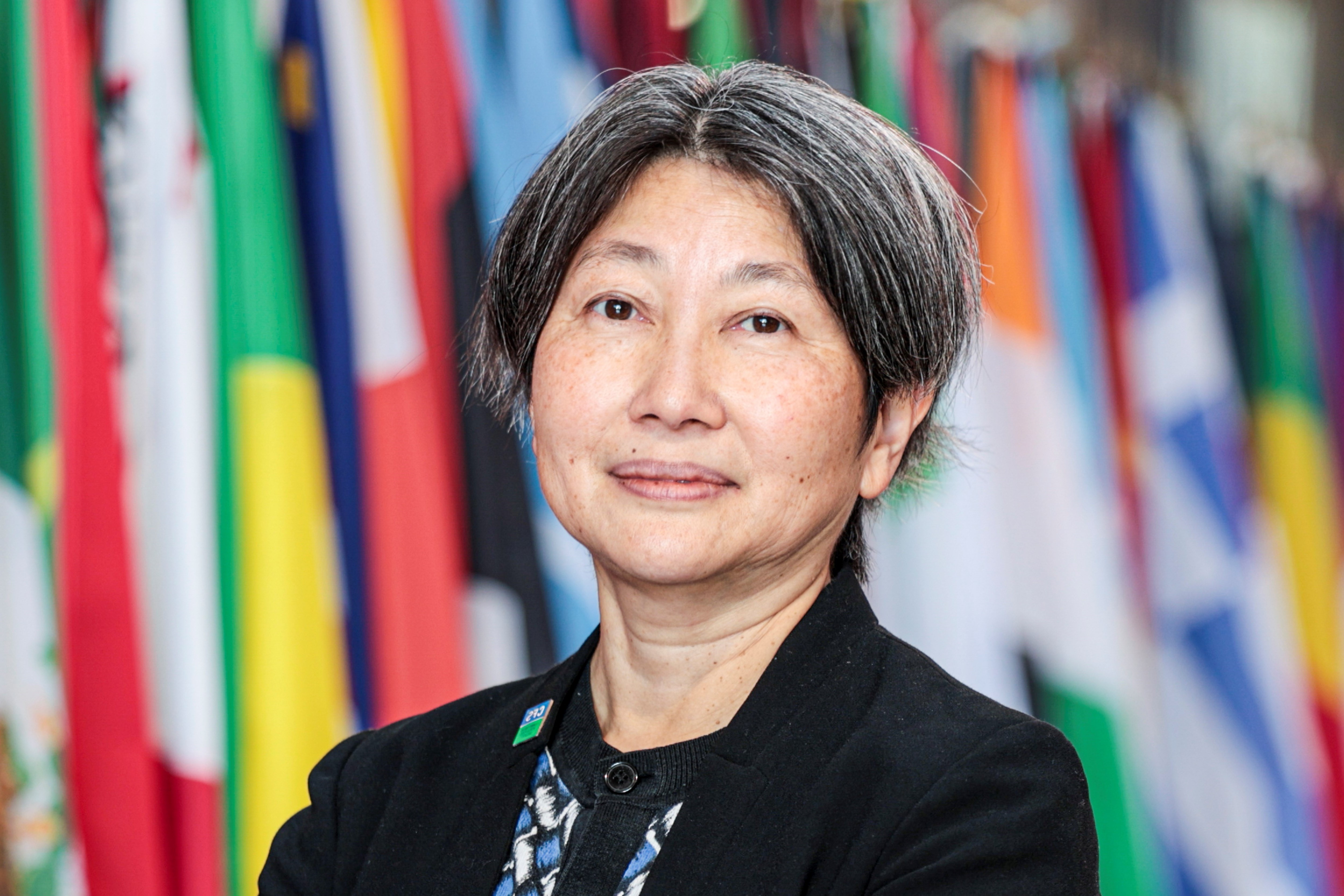 Akiko Suwa-Eisenmann, HLPE-FSN Chairperson 