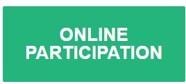 online participation
