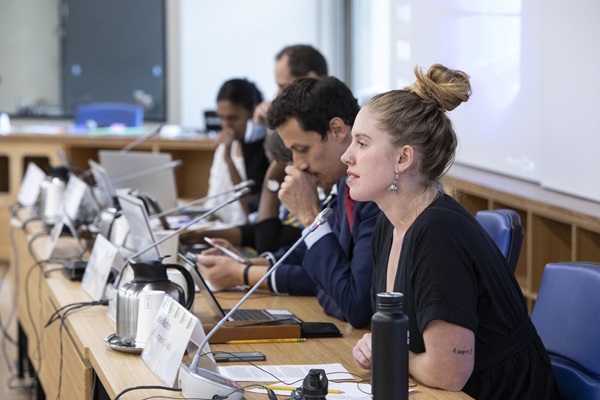 Jessie MacInnis on a panel at the Youth-Led Side Event at CFS 46
