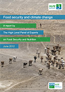 Food security and climate change