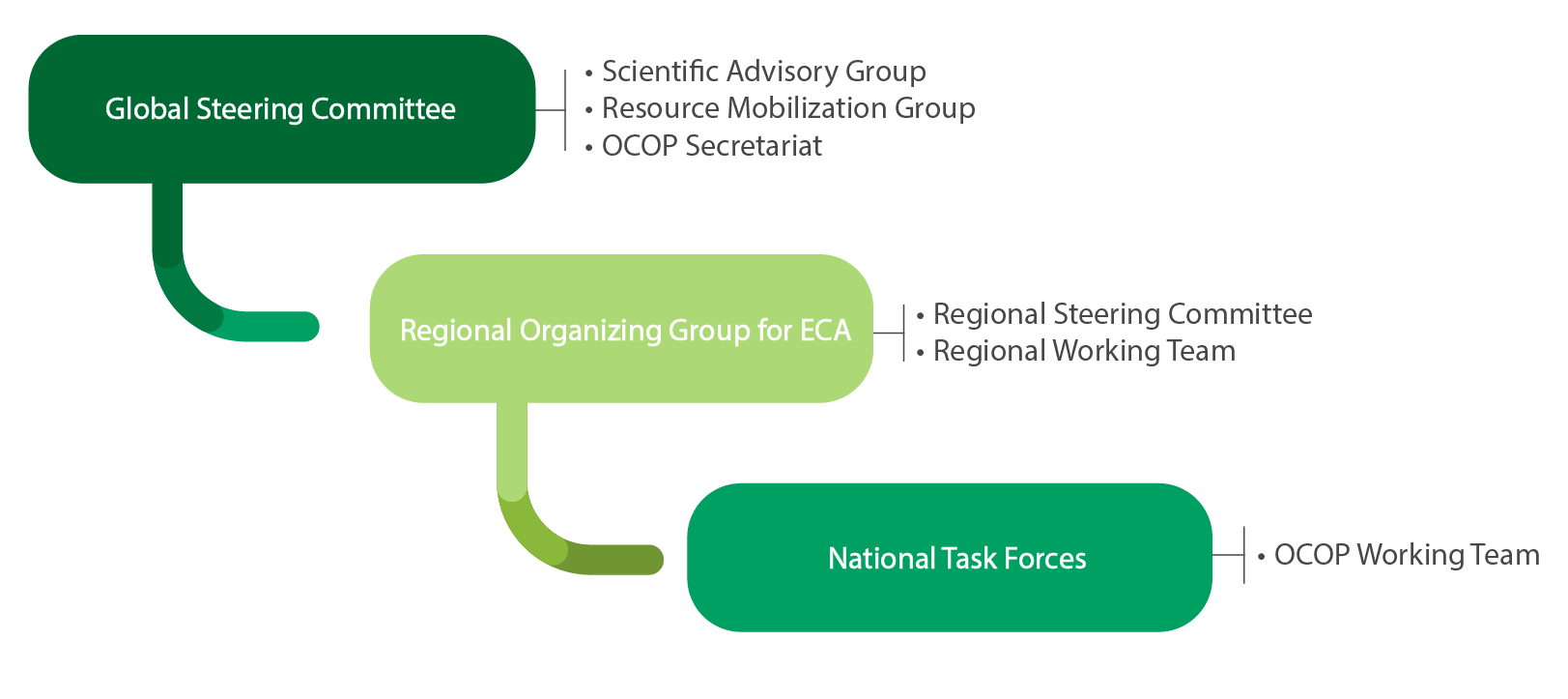 OCOP scheme Global and regional architecture: Global steering committee; regional organizing group; national task forces