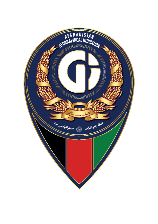 AFG GI logo
