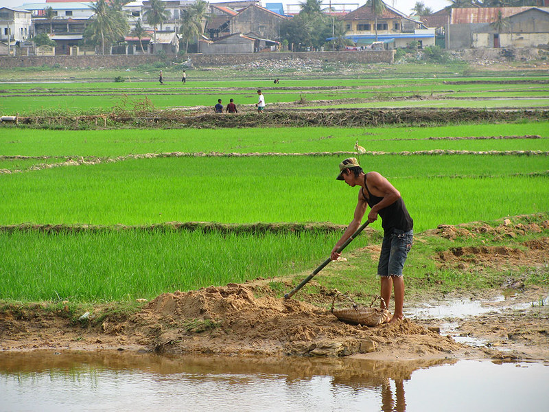 Enhancing Biodiversity Services in Southeast Asia Irrigation Systems