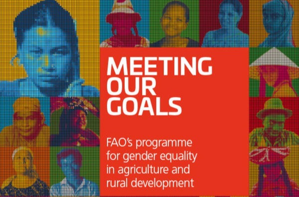 Meeting our goals: FAO’s programme for gender equality in agriculture and rural development