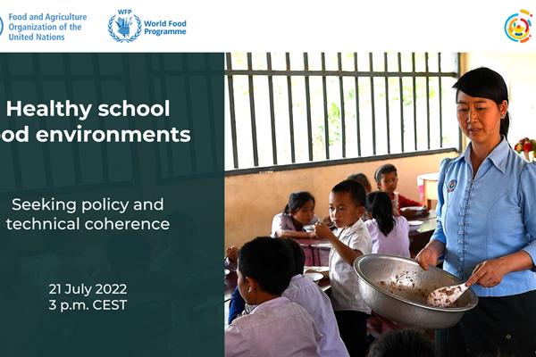 Healthy school food environments. Seeking policy and technical coherence