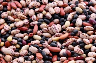 beans-pulses-nutrition-healthy-diet-climate-crisis