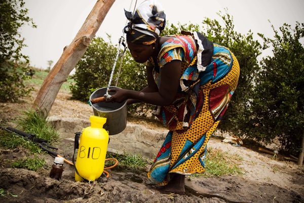 A farmer preparing an organic pesticide for the spraying of crops. ©FAO/Olivier Asselin