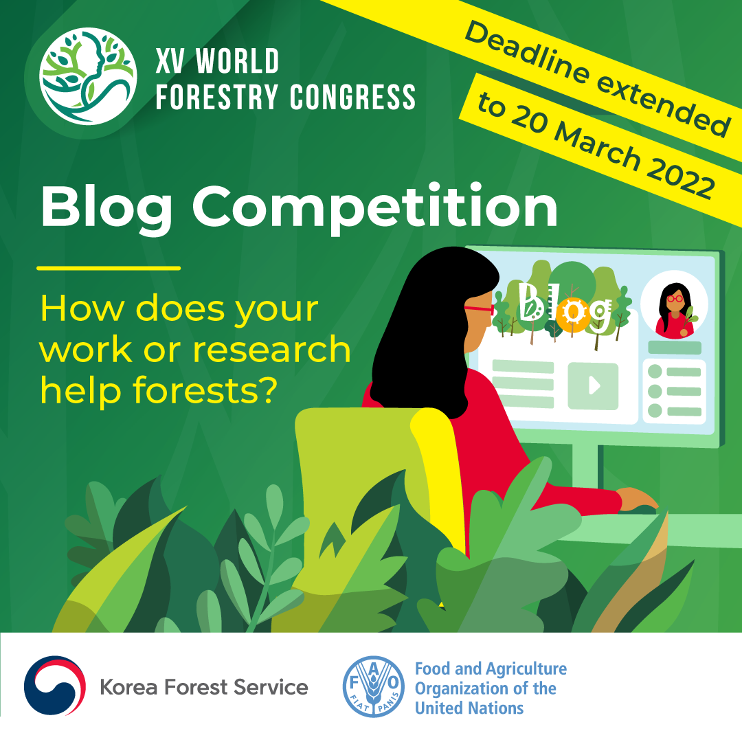 Blog competition