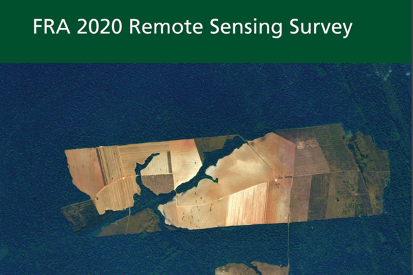 FRA-2020-Remote-Sensing-Survey
