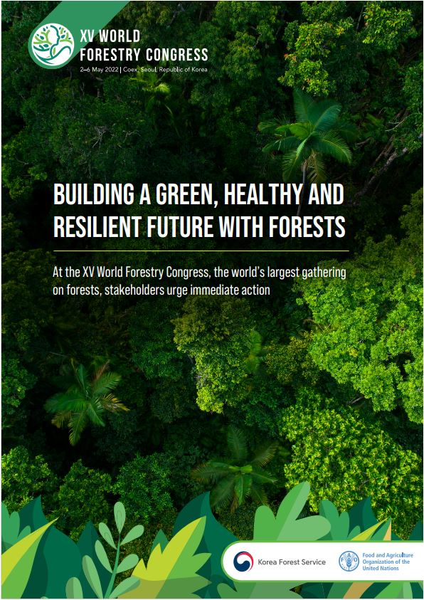 Building a green, healthy and resilient future with forests