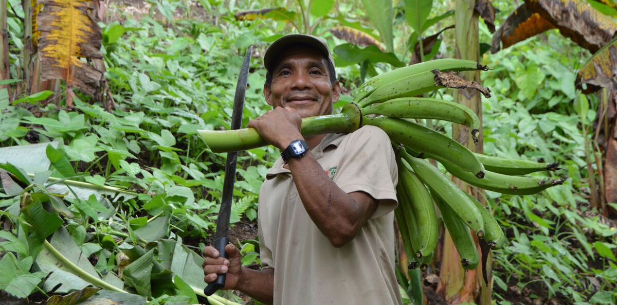 UF12NUD 00122988 Moldova