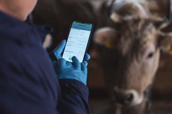 Veterinary technician, Shorena Jambazishvili, uploads the data of vaccinated animals into Georgia’s National Animal Identification and Traceability System, implemented with the technical assistance of the Food and Agriculture Organization (FAO).