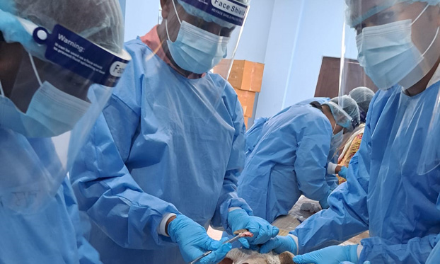 Collection, dispatch and epidemiological reporting training