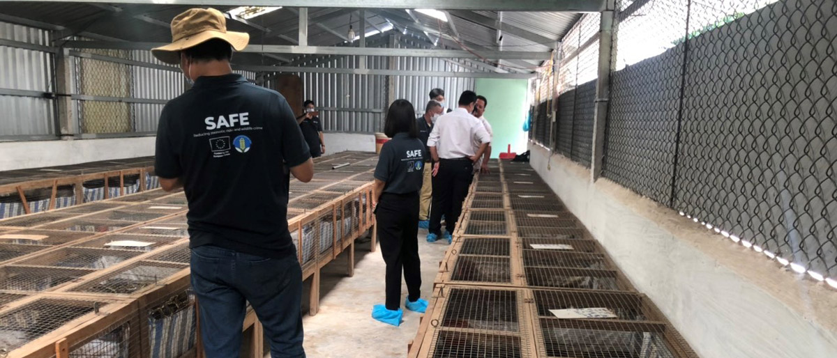 Biosafety and biosecurity standards in captive wildlife facilities as a practical step to prevent zoonotic spillovers in Southeast Asia
