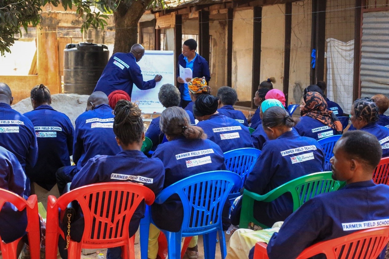 FAO Farmer Field Schools using Behavioural Science to Address AMR in Tanzania