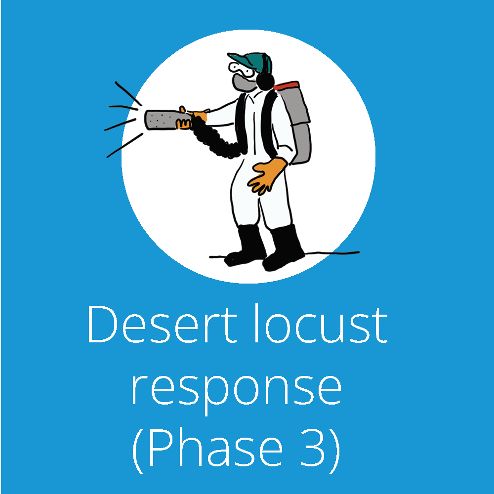 Desert locusts phase 3