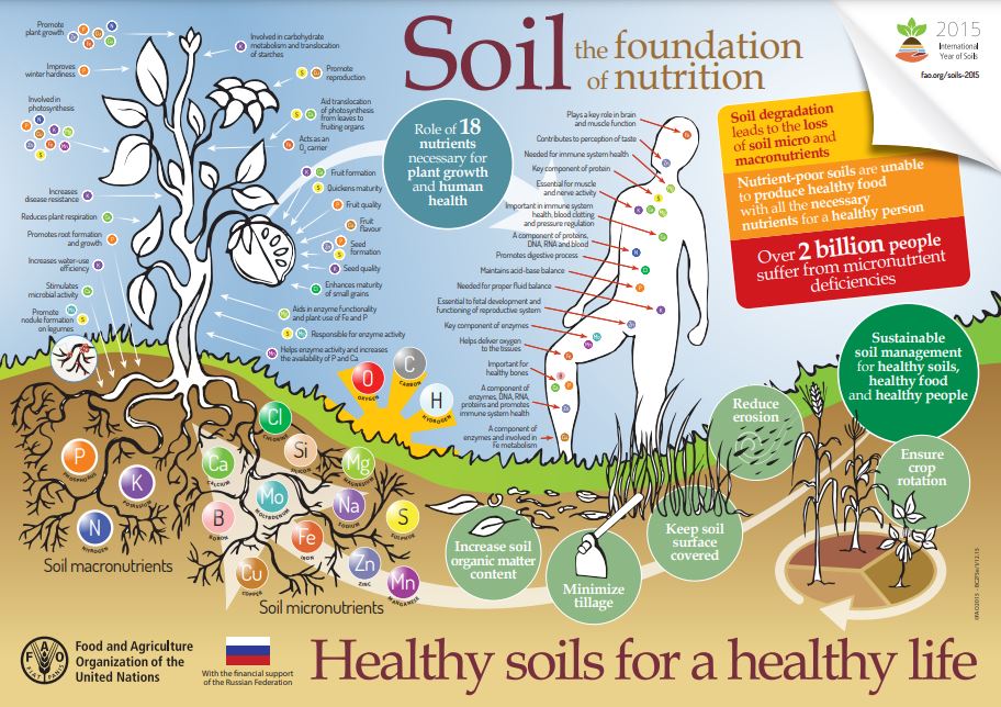 Global Symposium on Soils for Nutrition (GSOIL4N) - Soils, where