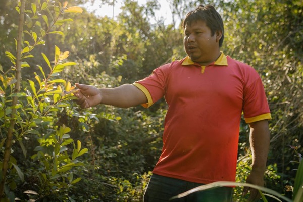 Ariel Benitez and Treli Fernández use ancestral knowledge to grow yerba mate trees and accelerate climate action