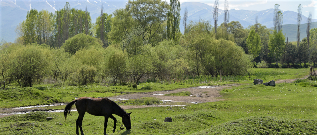Landscape in Armenia's Lori region. ©FAO/Karen Minasyan