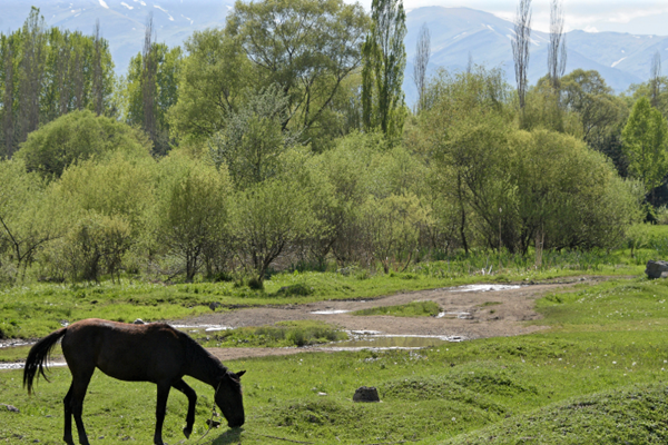 Landscape in Armenia's Lori region. ©FAO/Karen Minasyan