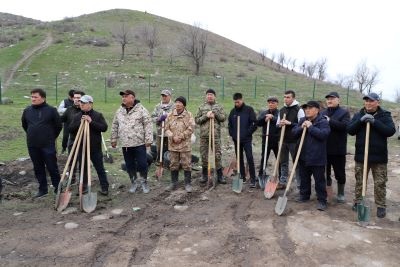Over 200 seedlings of fast-growing trees such as catalpa, maple and sycamore were planted in the foothills on the southern outskirts of Bishkek, the capital of Kyrgyzstan.