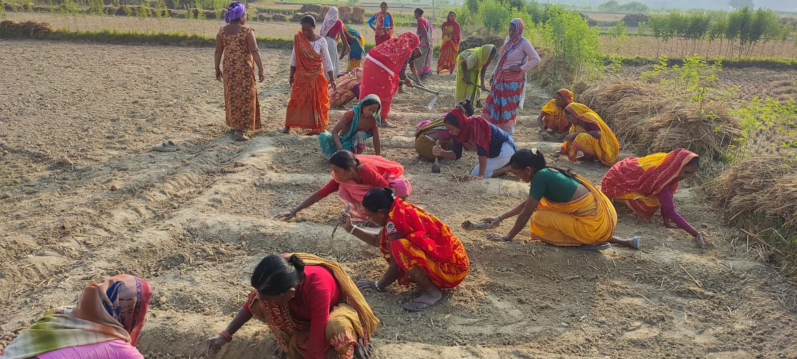 Women at a farmer field school prepare a seed bed for onion seeds in Nepal