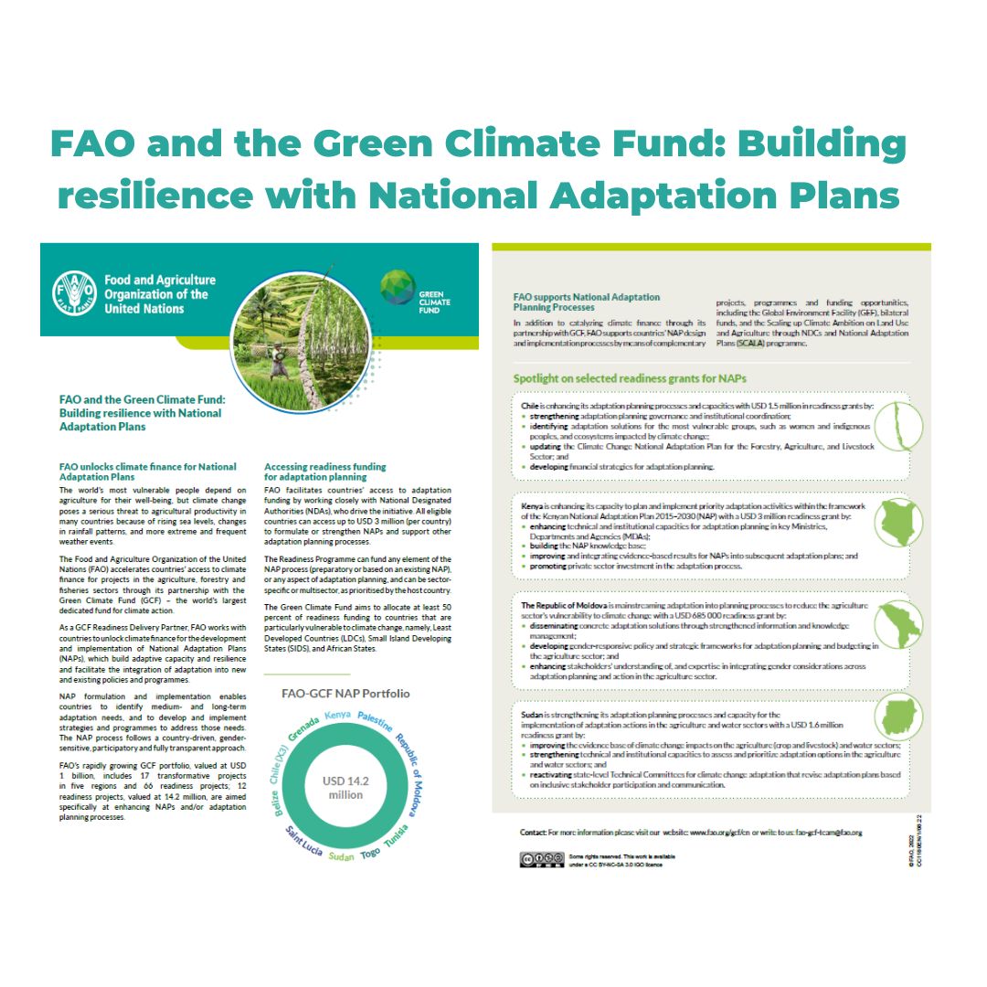 FAO and the Green Climate Fund Building resilience with National Adaptation Plans