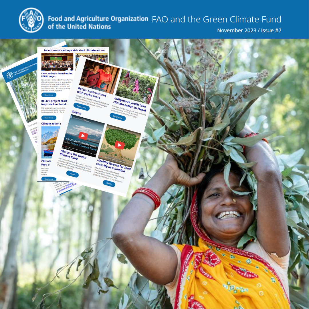 FAO-GCF Newsletter November 2023