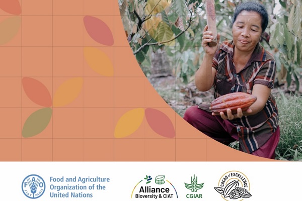 Image combining a photograph of a woman harvesting cocoa and some graphic design elements