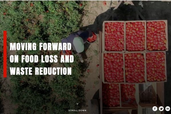 Moving forward on food loss and waste reduction