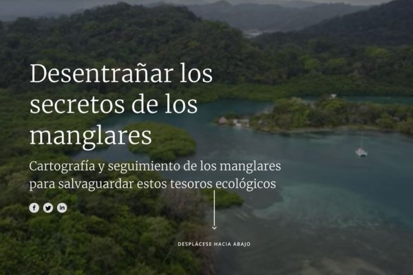 Cartografía y seguimiento de los manglares para salvaguardar estos tesoros ecológicos