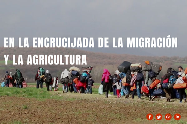 Migración, agricultura y desarrollo rural