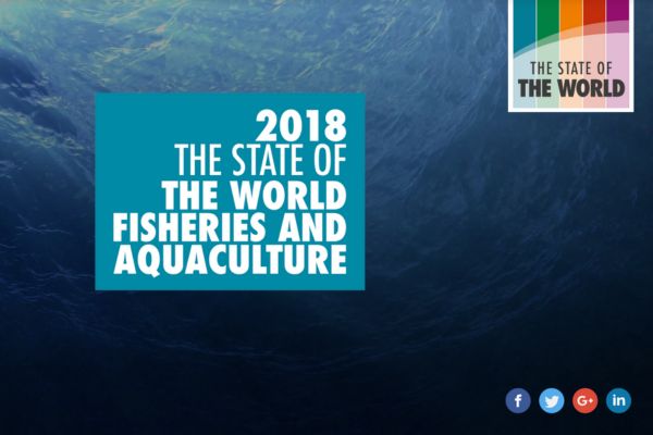 The State of the World fisheries and Aquaculture 2018