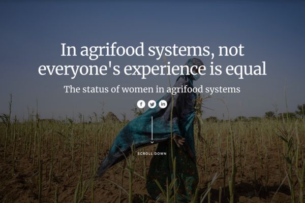 The status of women in agrifood systems