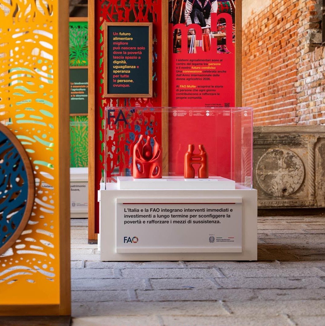 FAO MuNe Venice