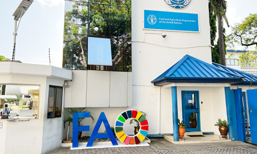 Our Offices | Regional Office for Africa | FAO