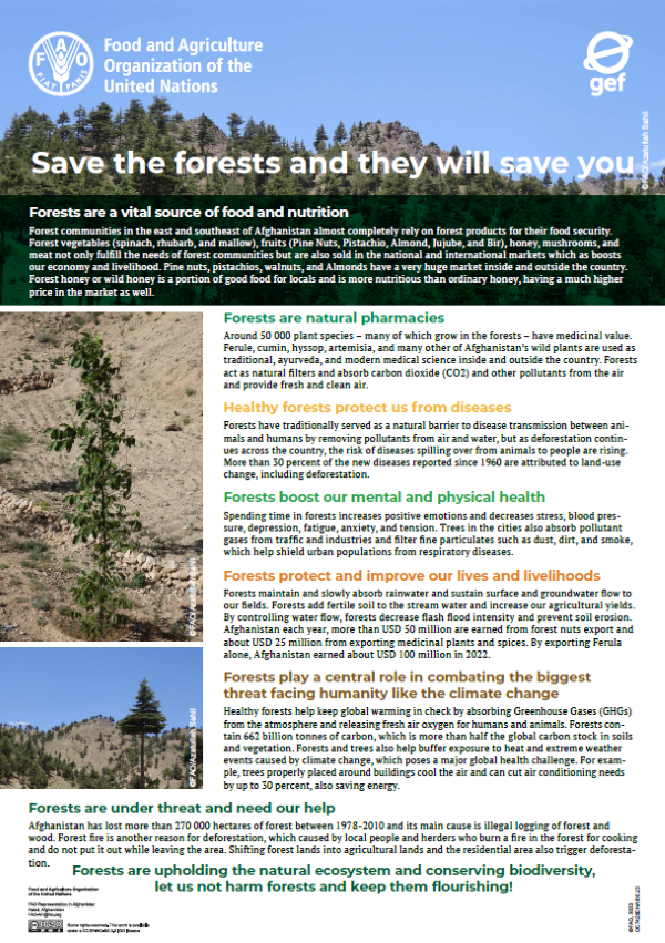 Flyer_save forest