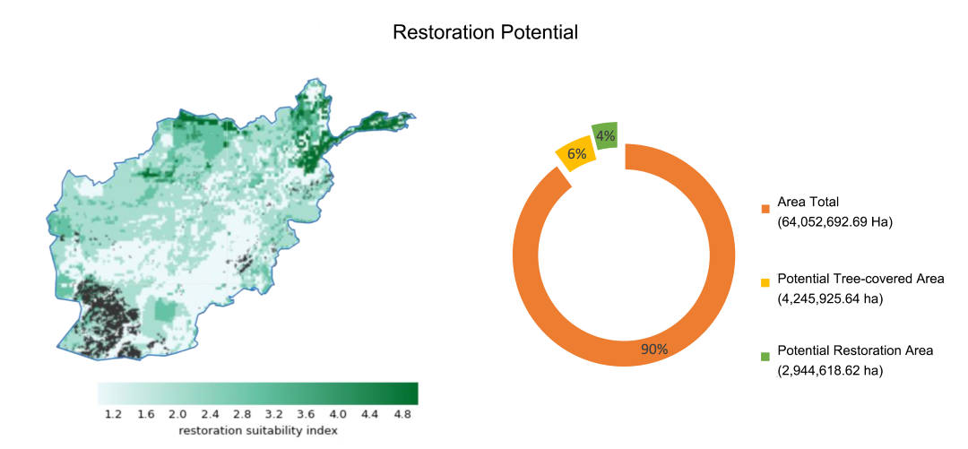 AFG restoration potential