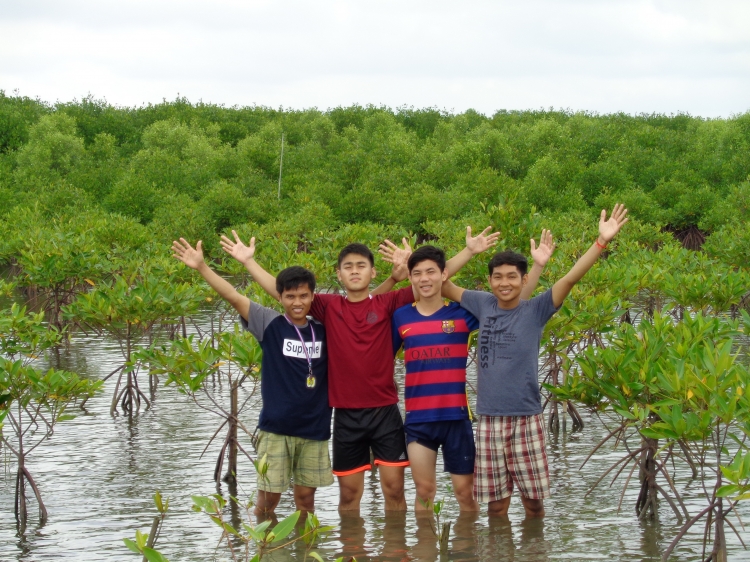 Four cheerful male youth stand knee-deep water in front of a forest of young mangrove trees. They are raising their arms in a victory position and some of them are smiling broadly.